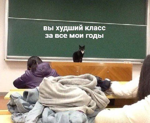 вы худший класс за все мои годы