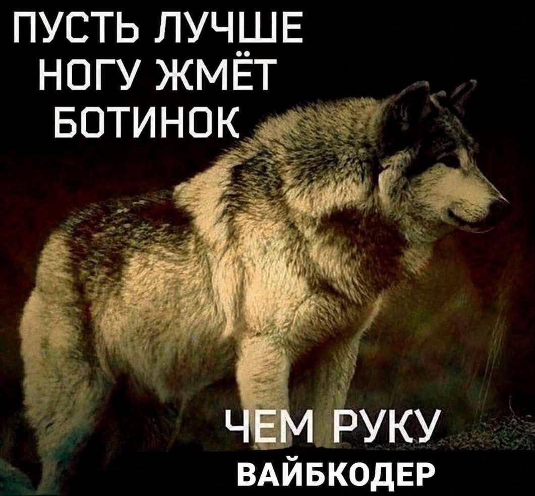 ПУСТЬ ЛУЧШЕ НОГУ ЖМЕТ БОТИНОК ЧЕМ РУКУ ВАЙБКОДЕР