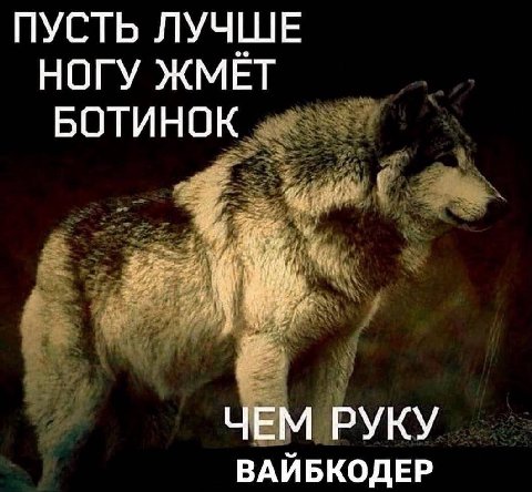 ПУСТЬ ЛУЧШЕ НОГУ ЖМЕТ БОТИНОК ЧЕМ РУКУ ВАЙБКОДЕР