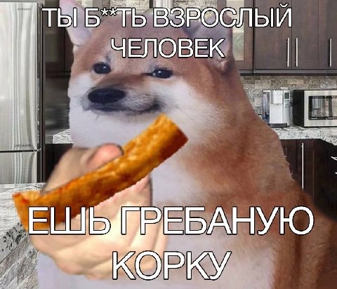 ТЫ ВЗРОСЛЫЙ ЧЕЛОВЕК ЕБАНУЮ