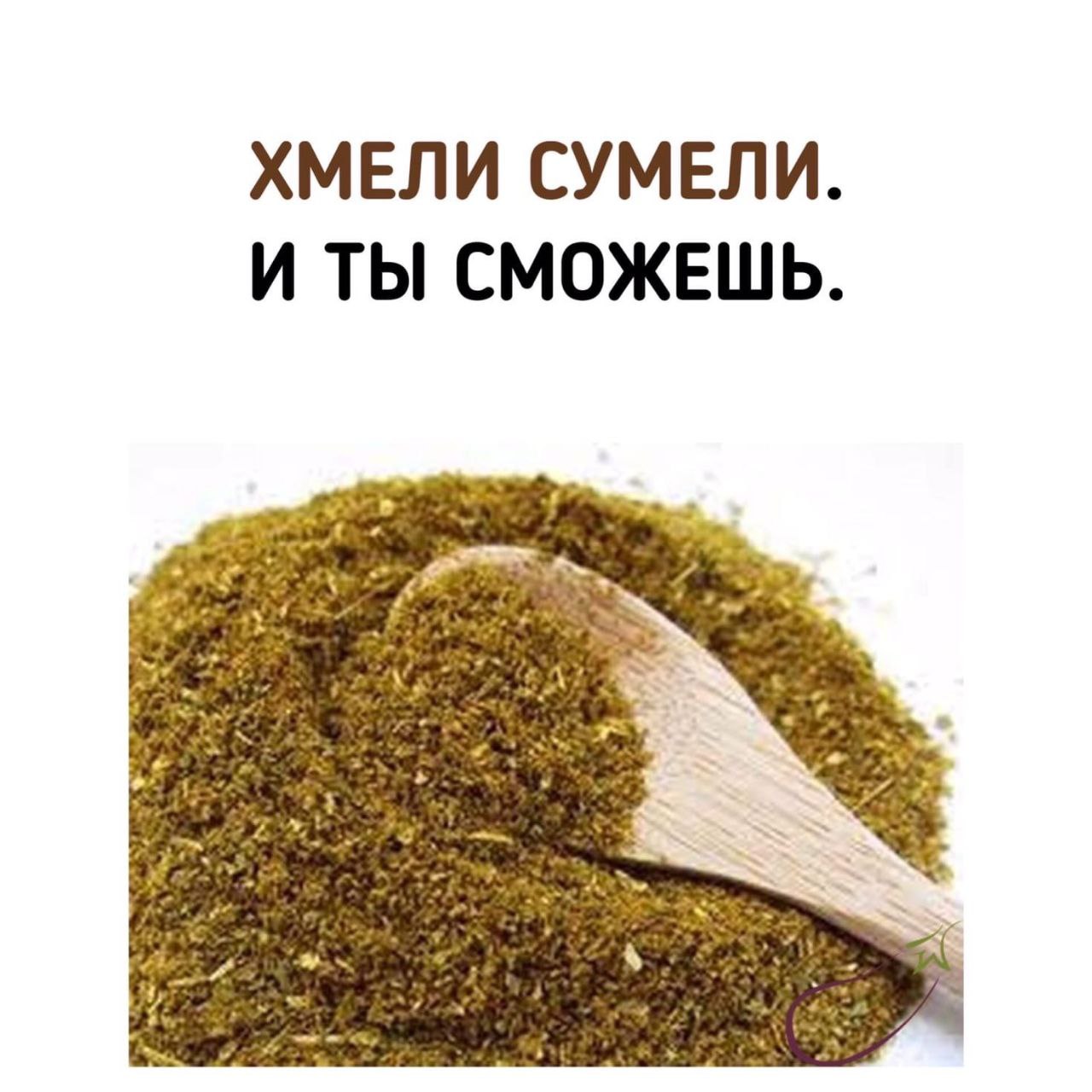 ХМЕЛИ СУМЕЛИ. И ТЫ СМОЖЕШЬ. и