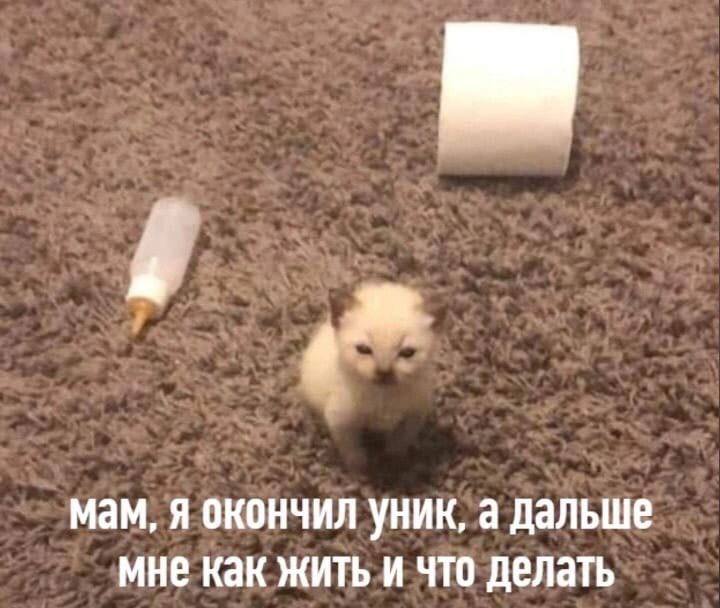 мам, я окончил уник, а Дальше мне как жить и что делать