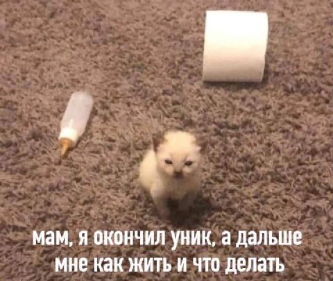 мам, я окончил уник, а Дальше мне как жить и что делать