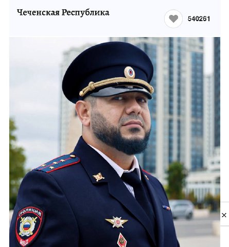 Чеченская Республика 540261