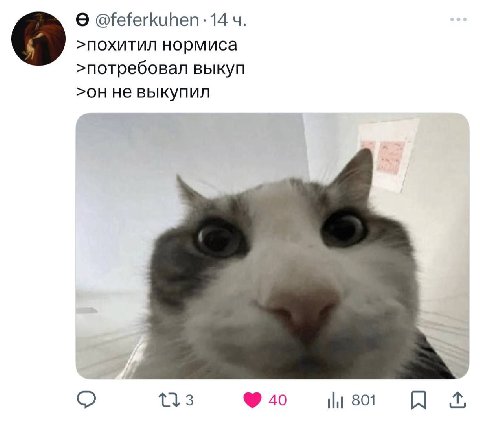 4 >похитил нормиса >потребовал выкуп не выкупил 40 801