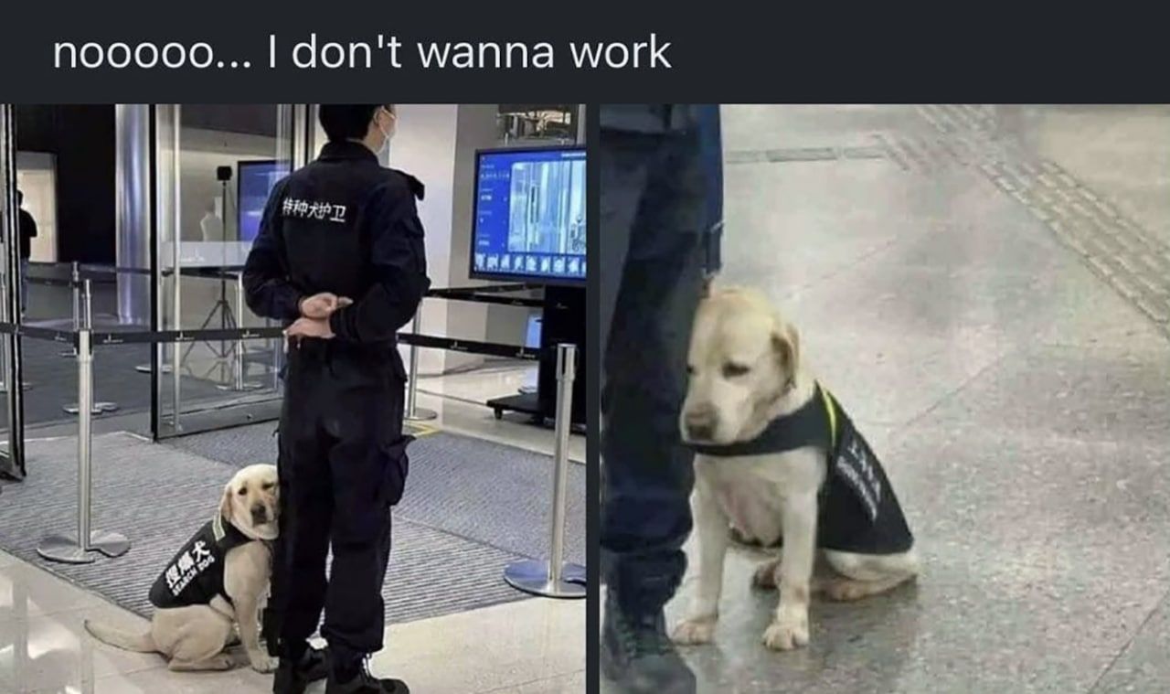 nooooo... don't wanna work к.