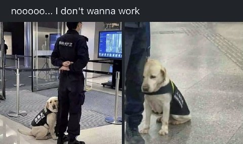 nooooo... don't wanna work к.