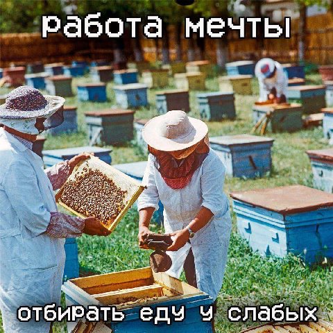 работа мечты be. ‘отбирать едч ‘слабых
