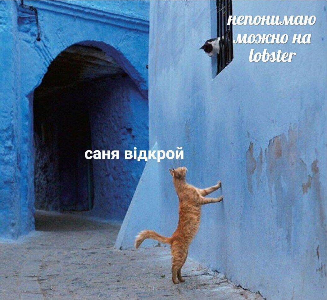 непонимаю можно на lobster саня вдкрой
