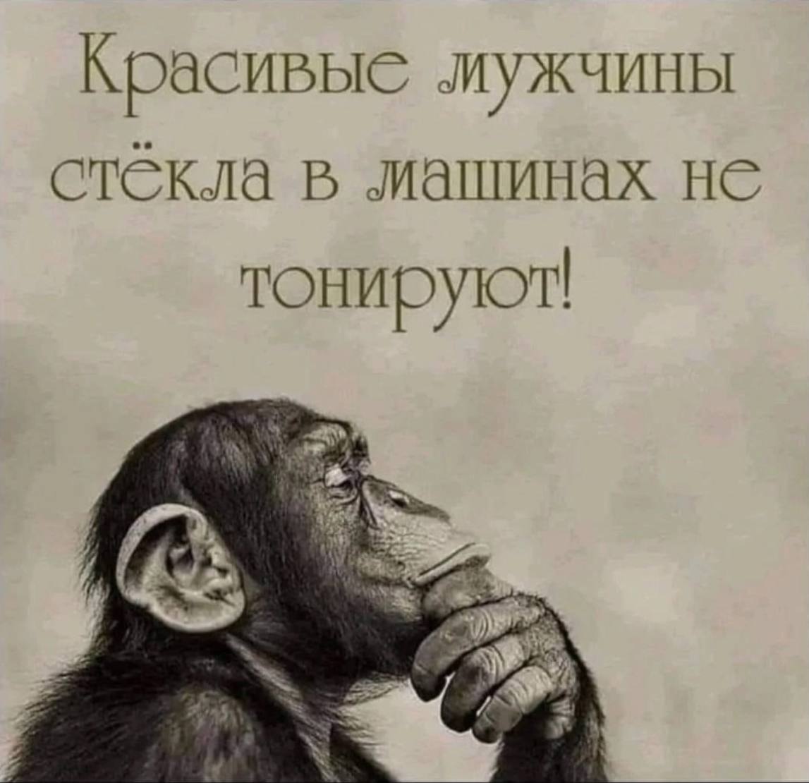 Красивые мужчины стекла в машинах не тонируют! я