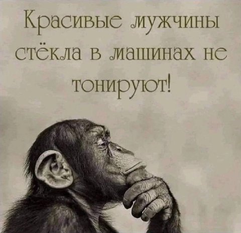Красивые мужчины стекла в машинах не тонируют! я