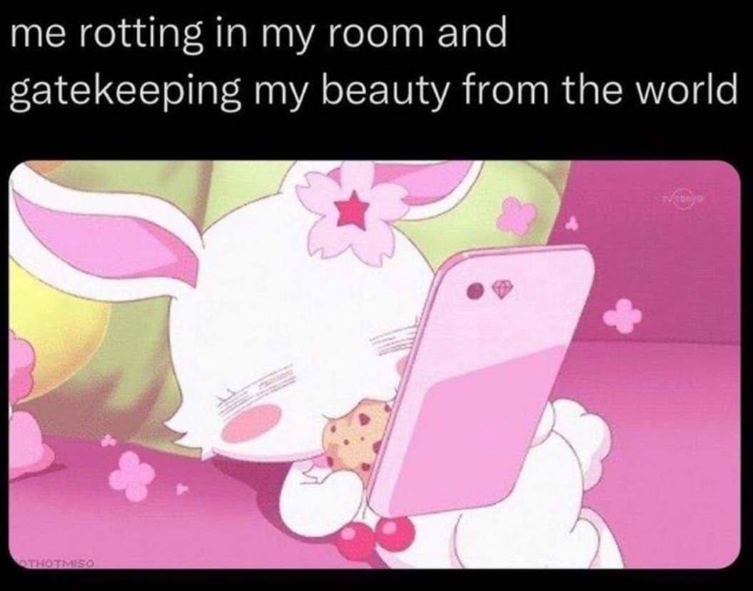 me rotting in my room and satekeeping my beauty from the world