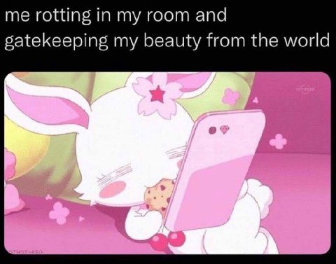 me rotting in my room and satekeeping my beauty from the world