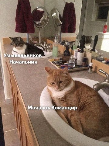 Начальник Моча) Командир