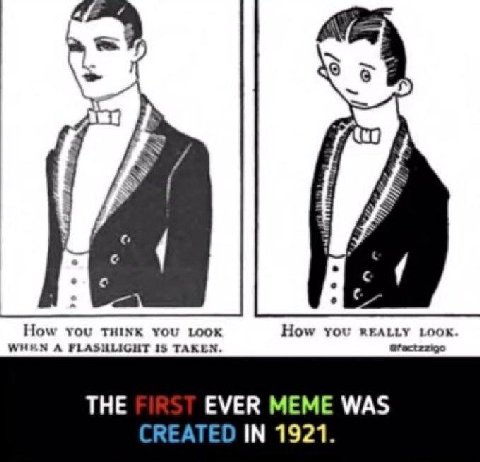6 How you THINK You LooK How Yow REALLY тоок. WHEN A FLASHLIGHT 1$ TAKEN. @factzzigo THE EVER MEME WAS CREATED IN 1921.