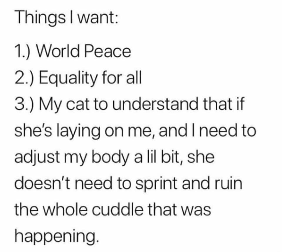 Things want: 1.) World Peace 2.) Equality for all 3.) My cat to understand that if she's laying on me, and need to adjust my body bit, she doesn't need to sprint and ruin the whole cuddle that was hap