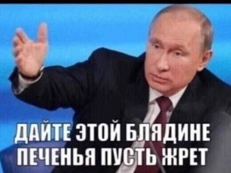 ДАИТЕ ЭТОИ БЛЯДИНЕ ПЕЧЕНЬЯ ПУСТЬ ЖРЕТ