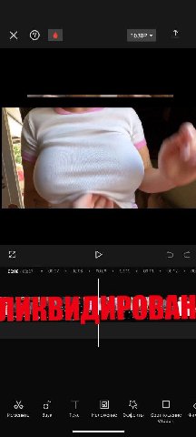 мема не будет. оранжевый сайт не пишет звук через запись экрана.