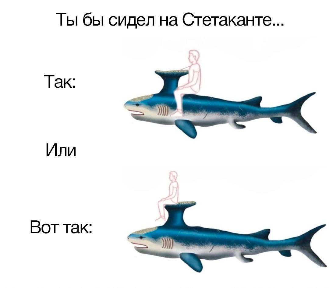 Ты бы сидел на Стетаканте... Так: Или Вот так:
