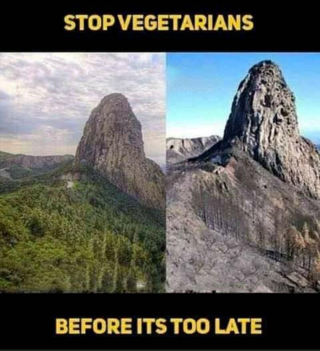 STOP VEGETARIANS BEFORE ITS TOO LATE