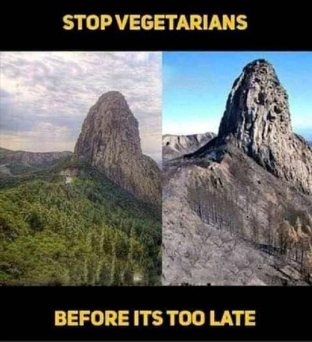 STOP VEGETARIANS BEFORE ITS TOO LATE