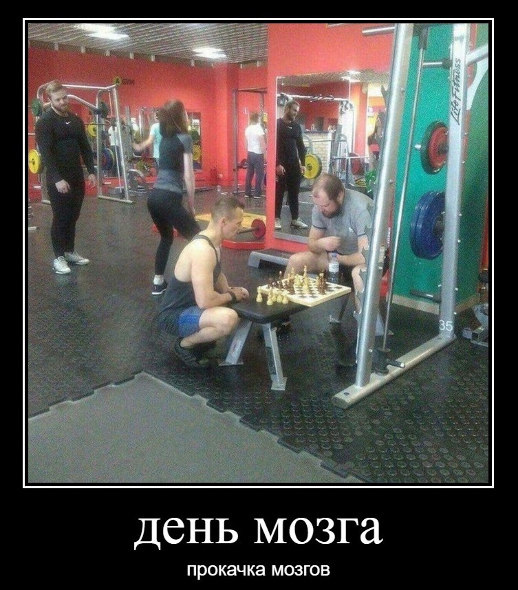A день мозга прокачка мозгов