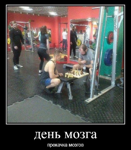 A день мозга прокачка мозгов