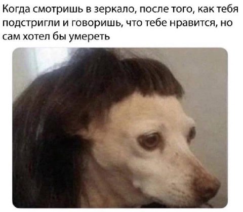Когда смотришь в зеркало, после того, как тебя подстригли и говоришь, что тебе нравится, но сам хотел бы умереть