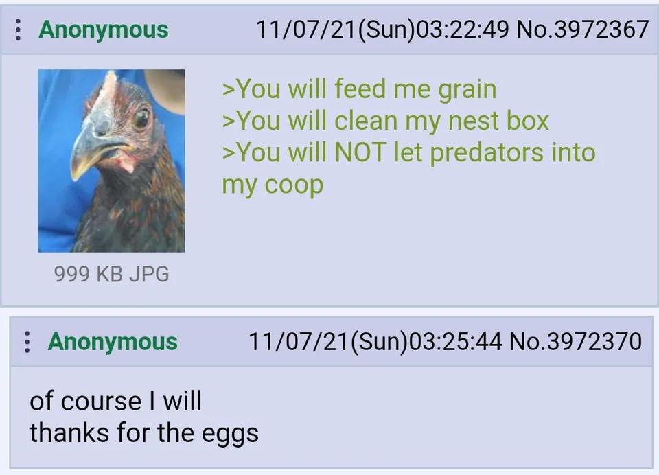 Anonymous 11/07/21(Sun)03:22:49 No.3972367 >You will feed me grain >You will clean my nest box >You will NOT let predators into my coop 999 JPG Anonymous No.3972370 of course will thanks for the eggs