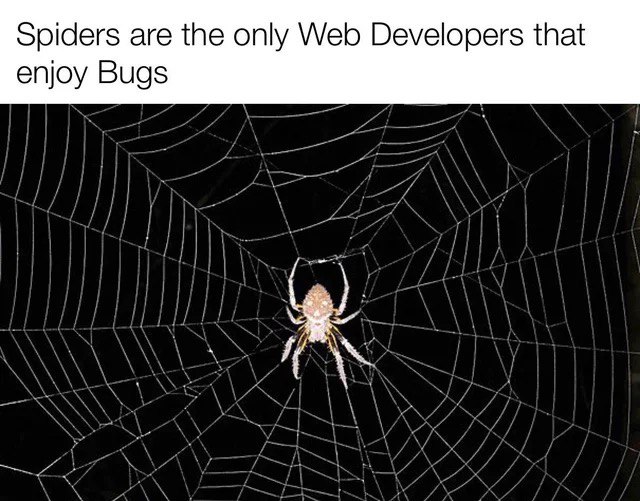 Spiders are the only Web Developers that enjoy Bugs