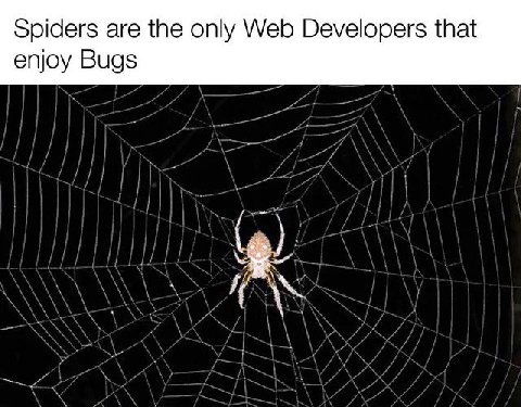 Spiders are the only Web Developers that enjoy Bugs
