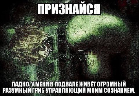 ПРИЗНАЙСЯ ЛАДНО. У МЕНЯ В ПОДВАЛЕ ЖИВЕТ ОГРОМНЫЙ РАЗУМНЫЙ ГРИБ УПРАВЛЯЮЩИЙ МОИМ СОЗНАНИЕМ.