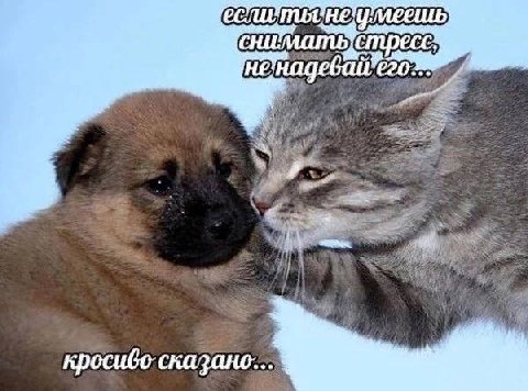 reminder