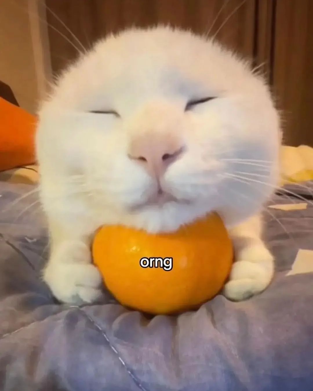 orng