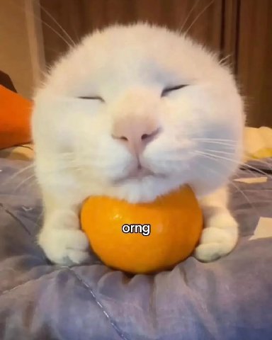orng