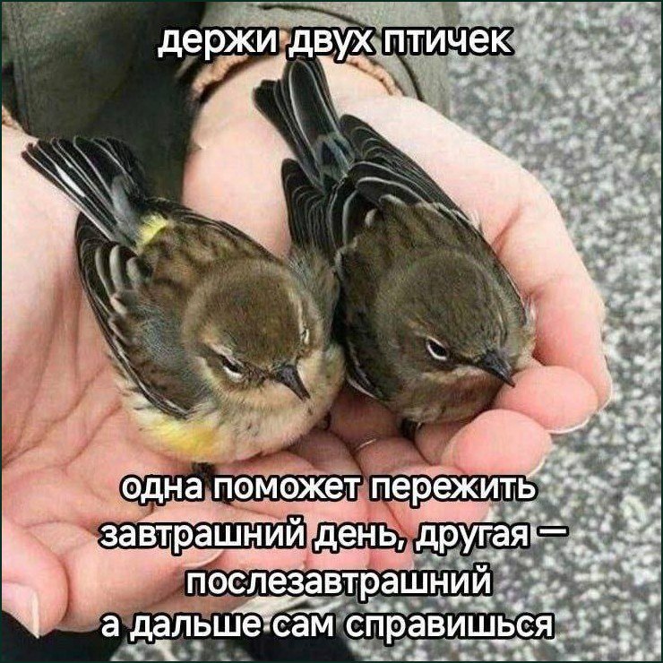 держи; двух. 4 t-ad у одна поможет день, послезавтрашний a i