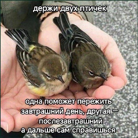 держи; двух. 4 t-ad у одна поможет день, послезавтрашний a i