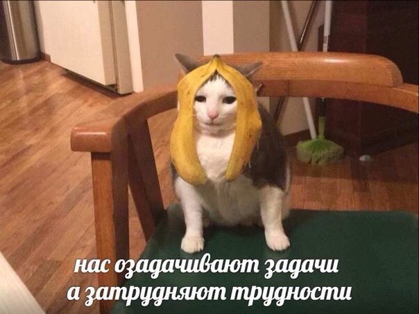 нас озадачивают задачи а затрудняют трудности