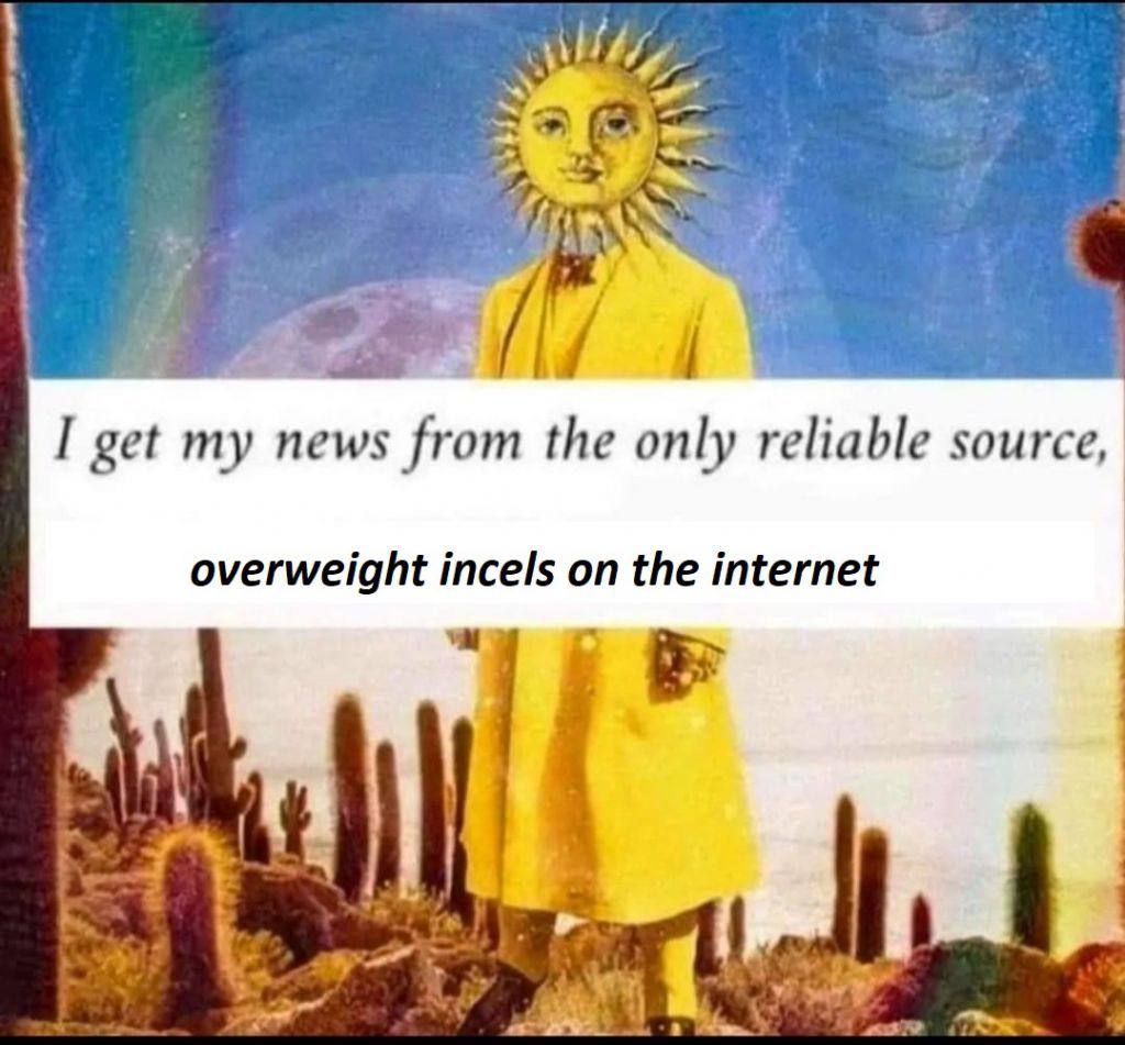 Why I get my news from the only reliable source, overweight incels on the internet