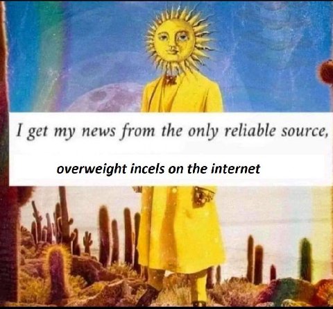 Why I get my news from the only reliable source, overweight incels on the internet