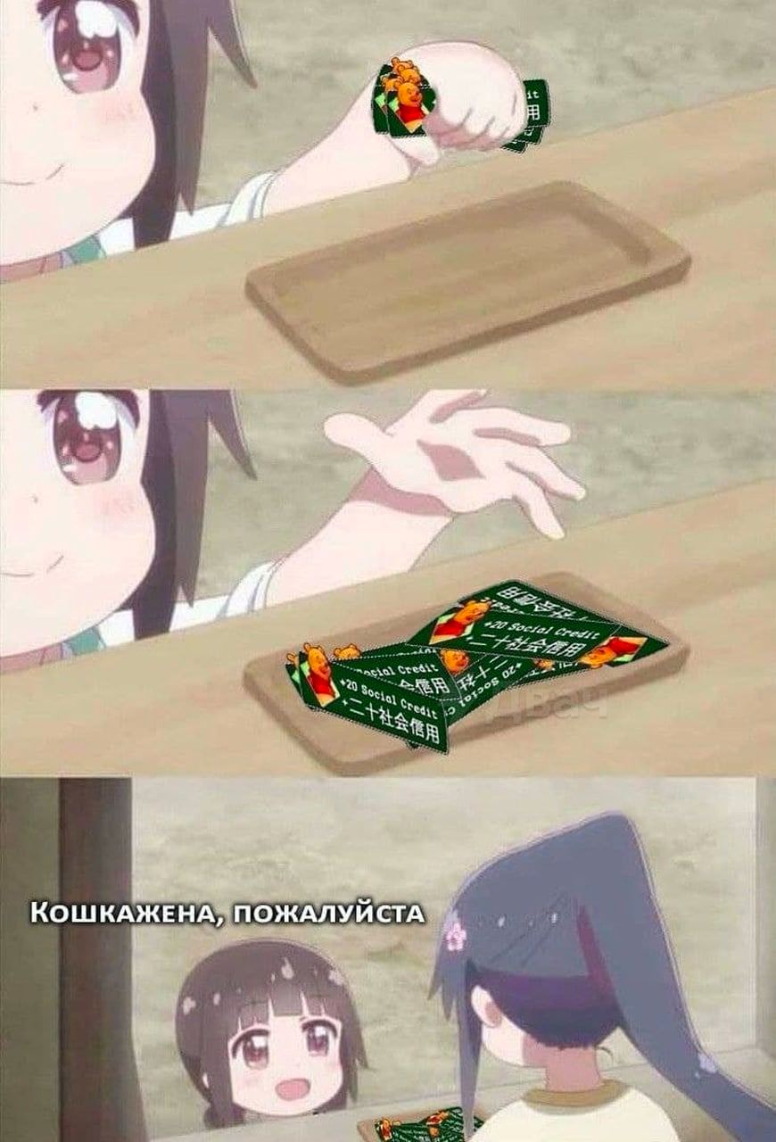 a” КОШКАЖЕНА, ПОЖАЛУЙСТА