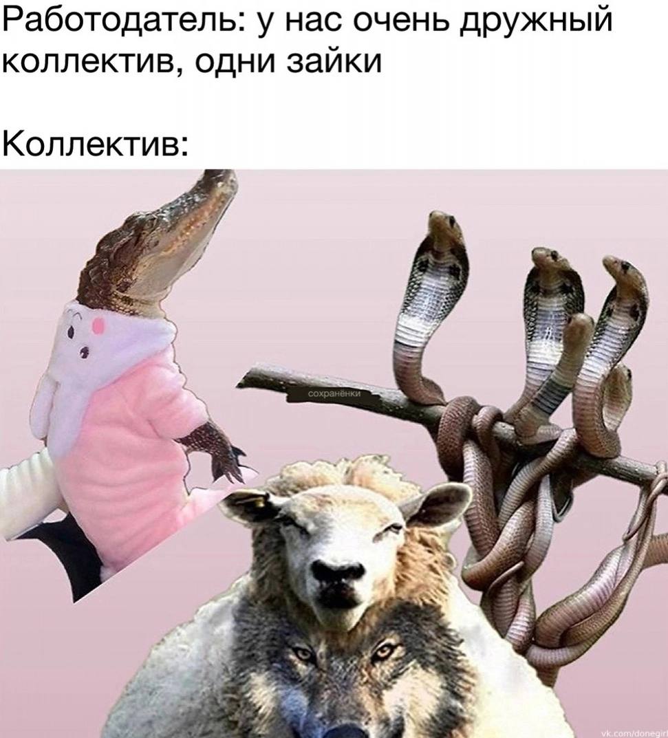 Работодатель: у нас очень дружный коллектив, одни зайки Коллектив: 4