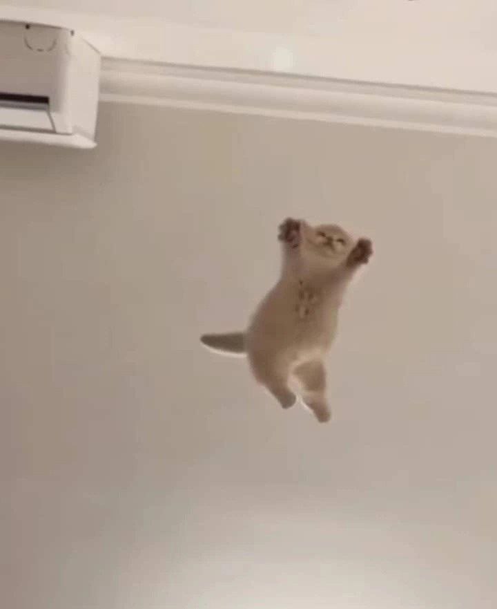 Завтра пятница 🥳