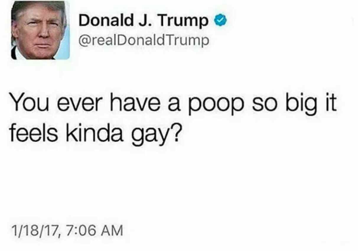 Donald Trump @realDonaldTrump You ever have a poop so big it feels kinda gay’? 1/18/17, 7:06
