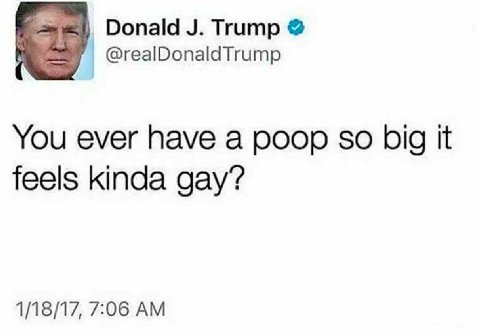 Donald Trump @realDonaldTrump You ever have a poop so big it feels kinda gay’? 1/18/17, 7:06