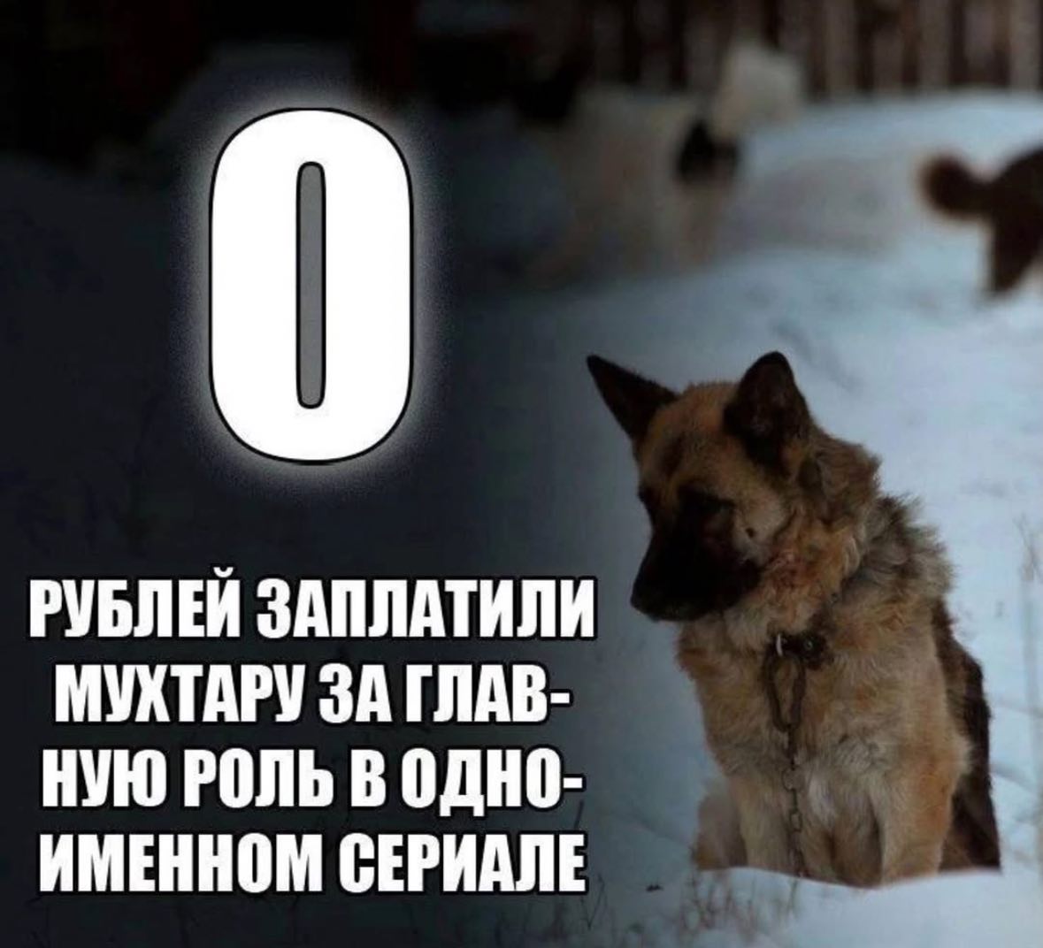 РУБЛЕЙ ЗАПЛАТИЛИ МУХТАРУ ЗА ГЛАВ- НУЮ РОЛЬ В ОДНО- ИМЕННОМ СЕРИАЛЕ