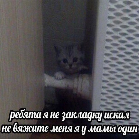 ребята я не закладку искал не вяжите меня я у мамы один