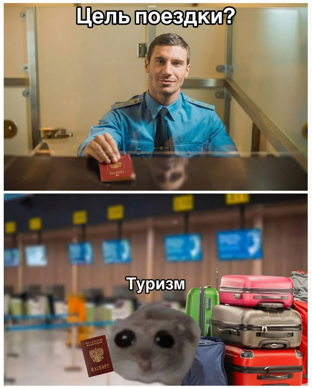 Цель поездки? Туризм