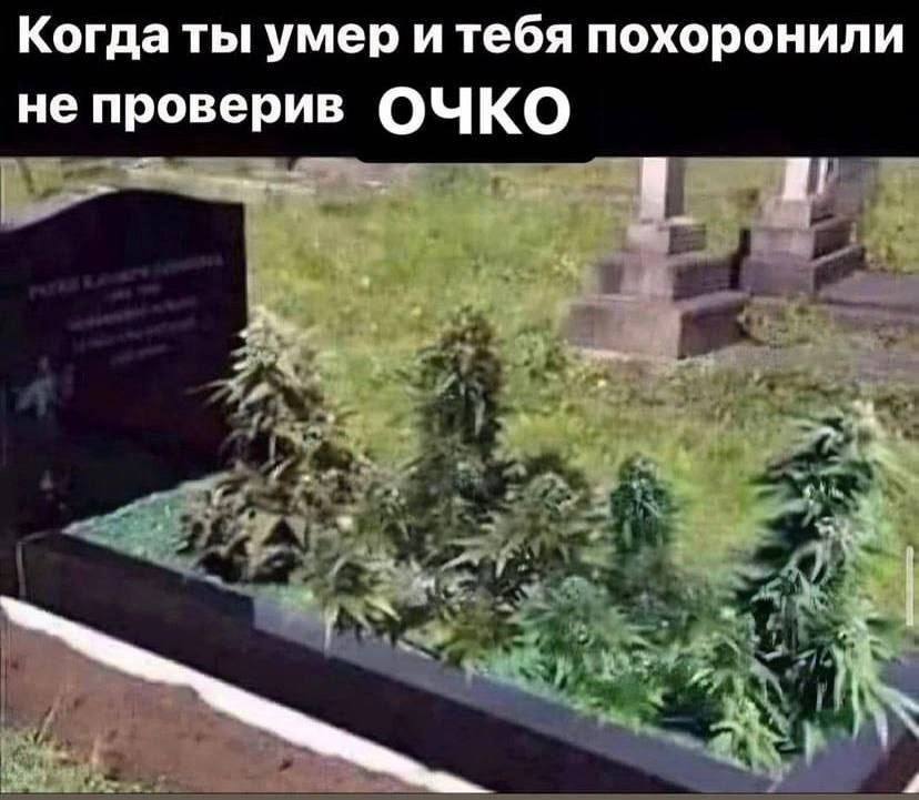 Когда ты умер и тебя похоронили не проверив ОЧКО