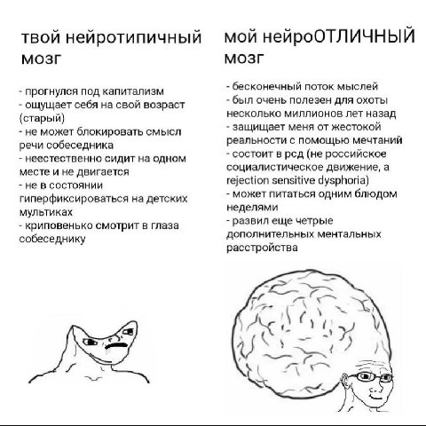 твой нейротипичный мой нейроОТЛИЧНЫЙ МОЗГ МОЗГ бесконечный поток мыслей прогнулся под капитализм ощущает себя на свой возраст был очень полезен ДЛЯ ОХОТЫ несколько миллионов лет назад (старый) не може